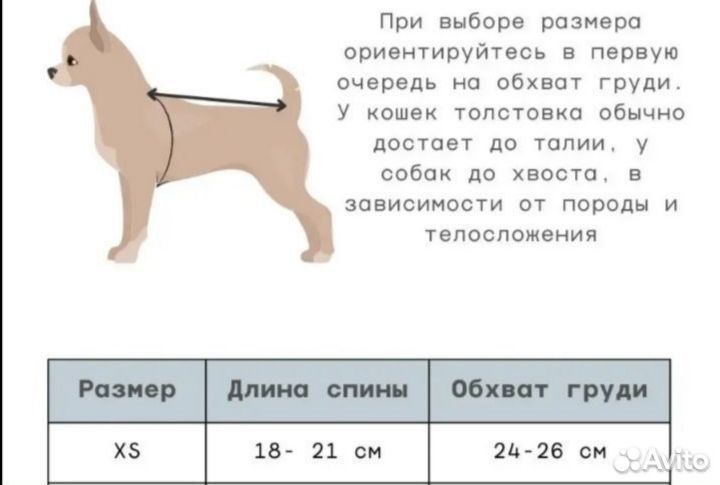 Кофта для собачки