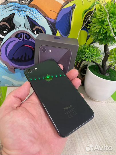 iPhone 8, 64 ГБ