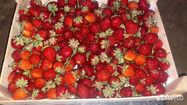 Свежая клубника из Киргизии купить в Красноярске | Товары для дома и ...
