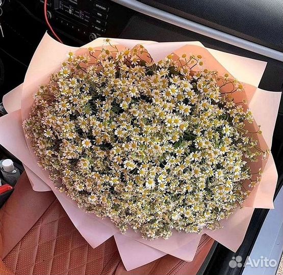 Букеты ромашек