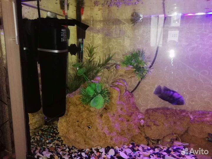 Аквариум 110 литров б/у