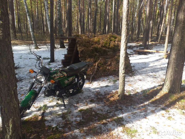 Альфа трофи 110