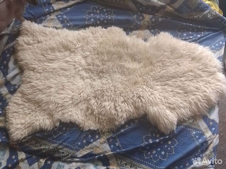 Овечья шкура натуральная
