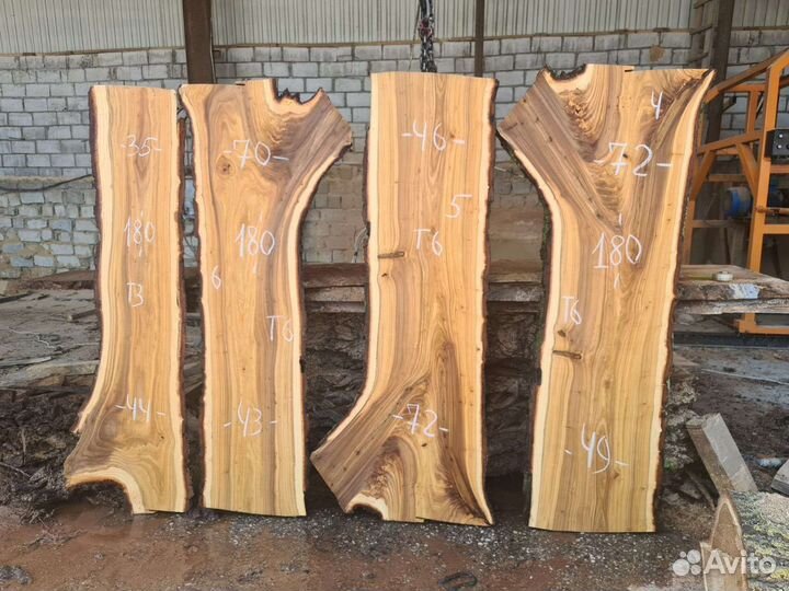 Слэб карагач