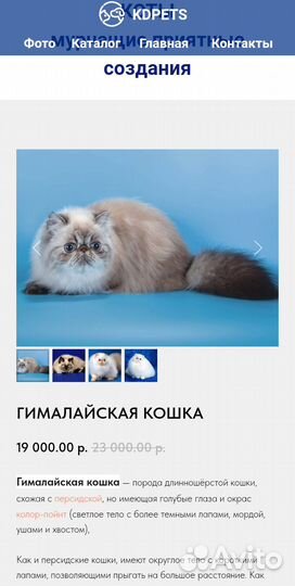 Создание сайтов на тильде