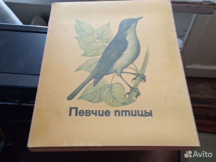 Набор сувенирный,Певчие птицы