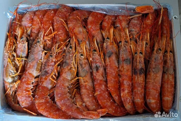 Креветка 90120.60/80. Лангустин L 2,L 1,C 1