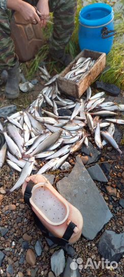 Отдых и рыбалка, сплав по рекам Красноярскго края