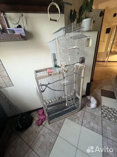 Клетка вольер для попугаев