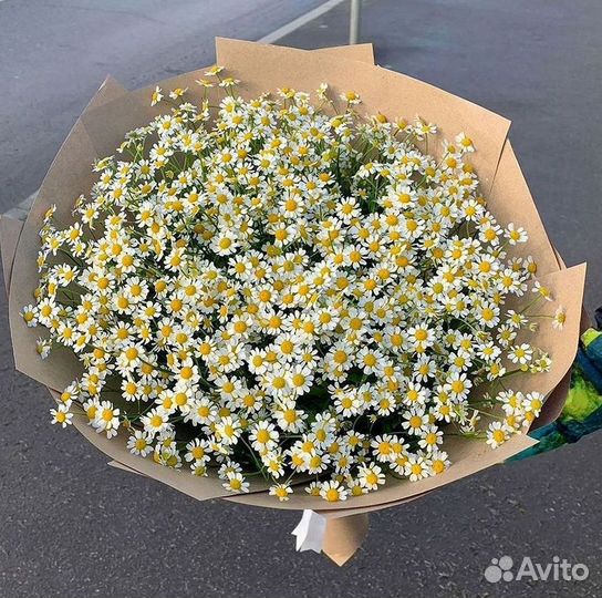 Доставка цветов. Ромашки