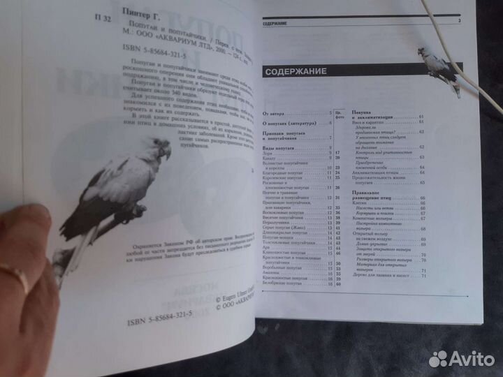 Попугаи и попугайчики