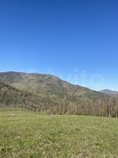 Участок 3 га (СНТ, ДНП)