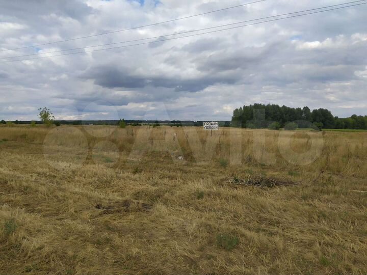 Участок 48 сот. (СНТ, ДНП)