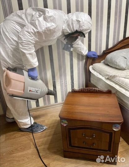 Дезинфекция. Уничтожение клопов тараканов