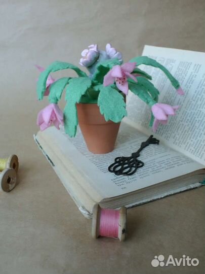 Декор для дома, Декабрист, Рождественский кактус