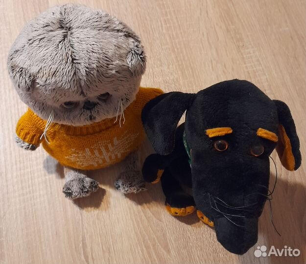 Кот Басик пес Ваксон