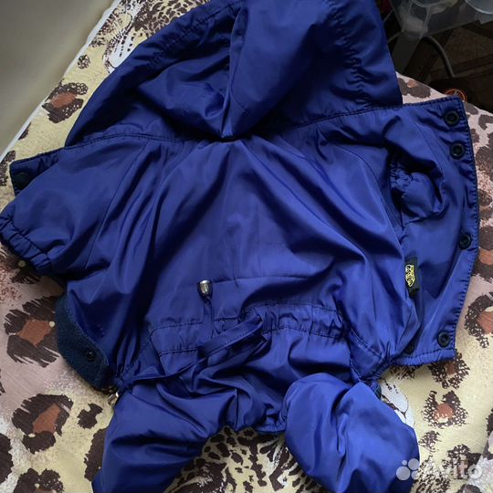 Осенний комбинезон для собак