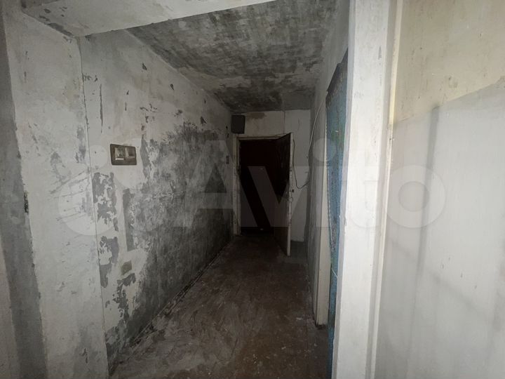 2-к. квартира, 49,5 м², 5/5 эт.