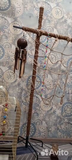 Всё для попугая