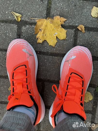 Кроссовки Puma training Accelerate trainers