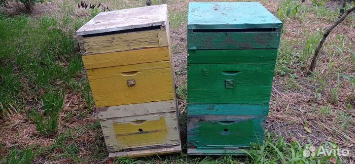 Ульи, раманосы и рамки