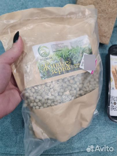 Набор для выращивания микрозелени