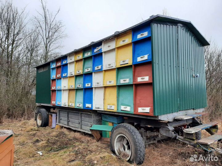 Передвижной пчелопавильон