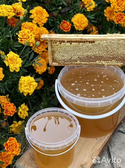 Сотовый мед / Мёд в сотах / Мед в рамке