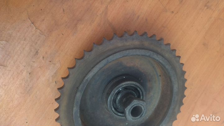 Задняя звезда ковровец