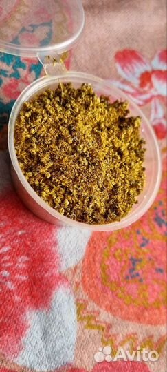 Цвет Таволги (порошок) 25 гр