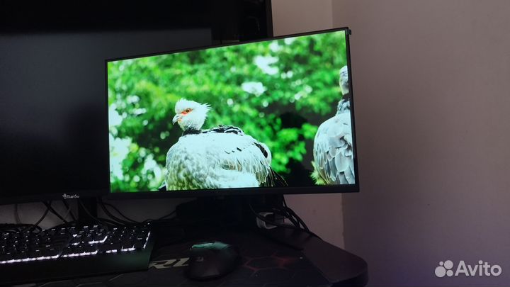 Монитор 24 дюйма Tiansu 100 герц, ips