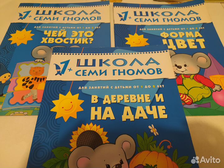 Школа 7 гномов 1+ и 3+