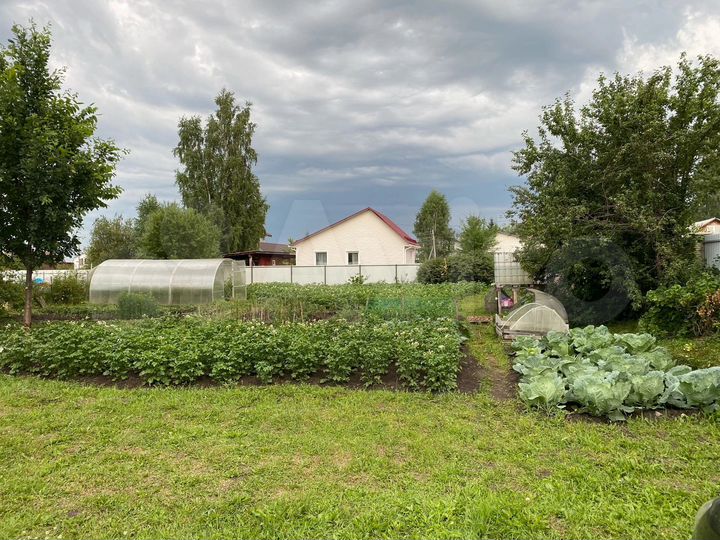 Участок 11 сот. (СНТ, ДНП)