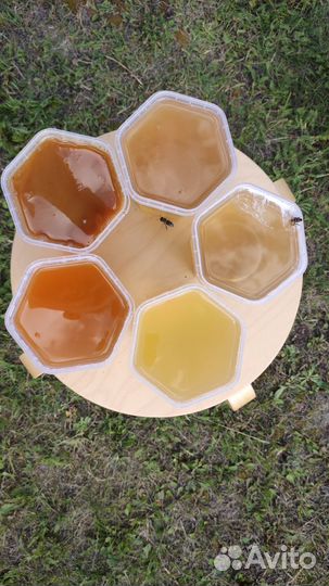 Свежий мед с желтой акации, черноклена,гомогенат