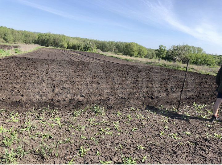 Дом 35 м² на участке 50 сот.