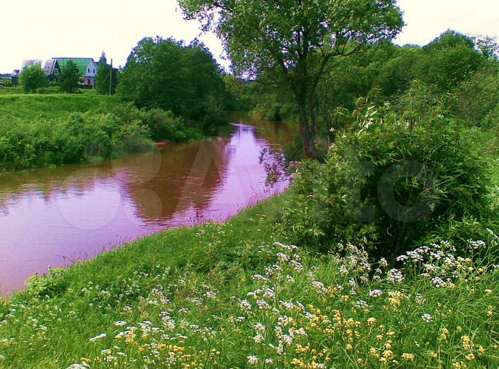 Участок 50 сот. (ИЖС)