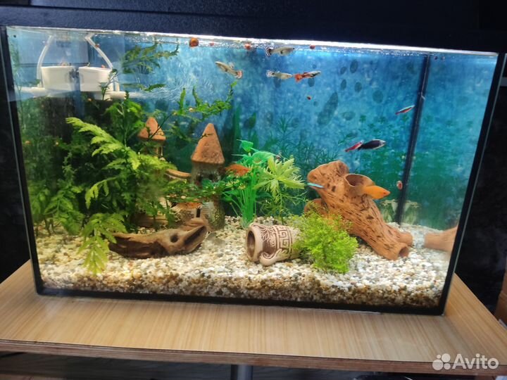 Аквариум 60 литров
