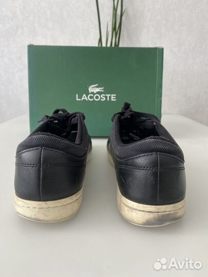 Lacoste кеды мужские 40