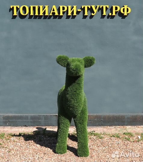 Топиари Топиарные фигуры Садовые фигуры