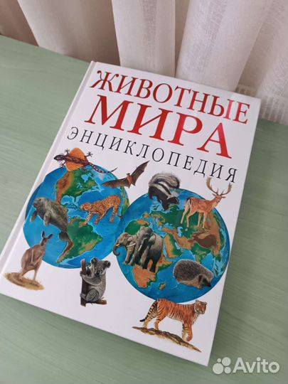 Детская энциклопедия 