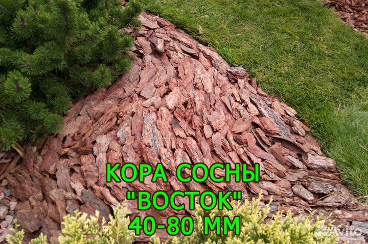 Кора, мульча Сосны: 