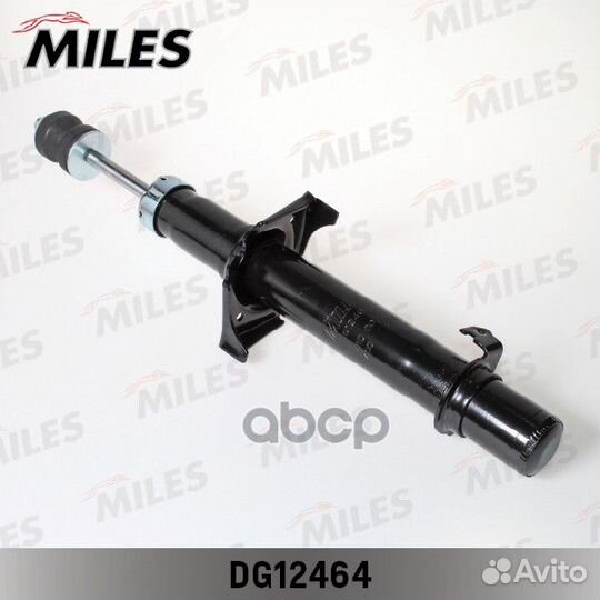 DG12464 DG12464 Miles