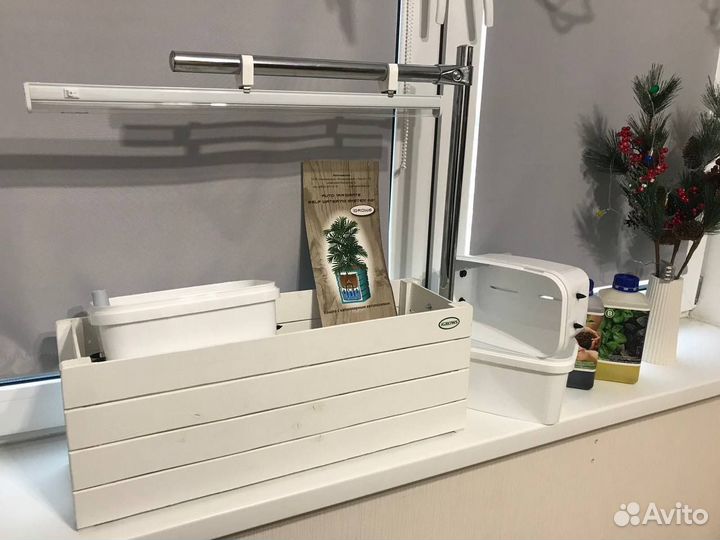 Продам кашпо для выращивания рассады и микрозелени