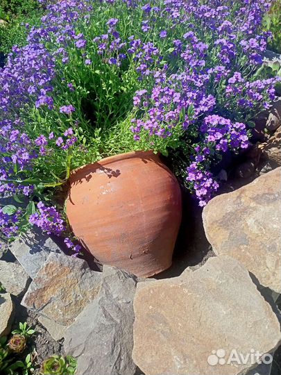 Обриетта и др