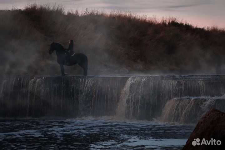 Фотосессия с Фризом