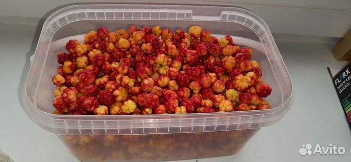 Морошка свежая