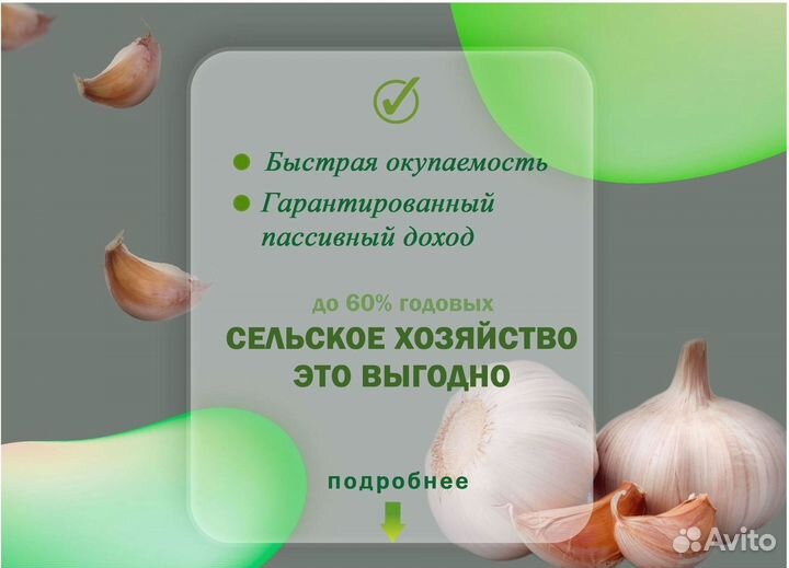 Инвестиции в сельское хозяйство