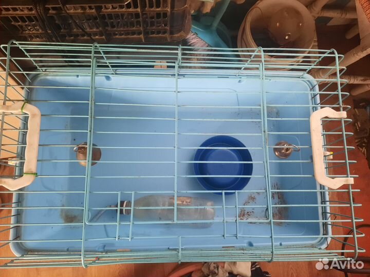 Клетка для декоративного кролика