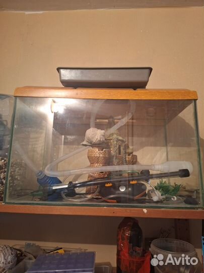 Аквариум