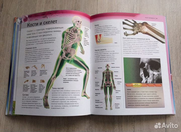 Энциклопедия